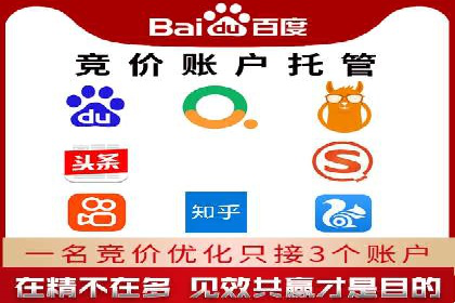 行业领先！专业SEM托管的成功实践案例